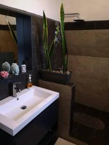 La salle de bains est pourvue d'un lavabo et d'une plante en pot. dans l'établissement La Cabaña, à Heredia