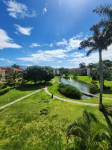 - Vistas a un parque con río y palmeras en Apartment Avalon Santa Ana, en Río Oro
