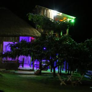 een gebouw met een boom ervoor in de nacht bij Sipi Guest House in Kapchorwa