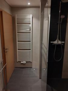 a bathroom with a shower and a glass door at Ferienwohnung Schehl in Erlenbach