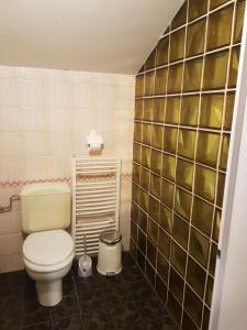 a bathroom with a toilet and a tiled wall at Къща за гости Жорж in Bankya