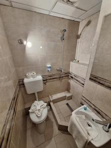 Koupelna v ubytování Hotel Unicornis