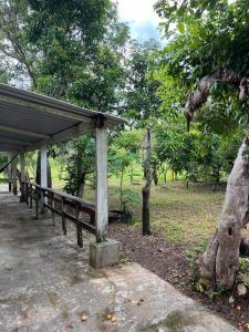 um banco num parque ao lado de uma árvore em Casa na Roça em São José do Barreiro SP em São José do Barreiro