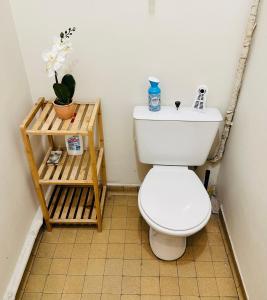 a bathroom with a toilet and a shelf with a plant at STUDIO proche commodité et gare . Centre ville in Caen