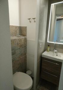 a small bathroom with a toilet and a sink at Studio Poisson bleu 2 in Saint-Raphaël