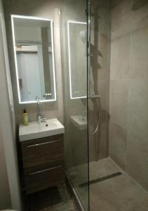 een badkamer met een douche, een wastafel en een spiegel bij Studio Poisson bleu 2 in Saint-Raphaël