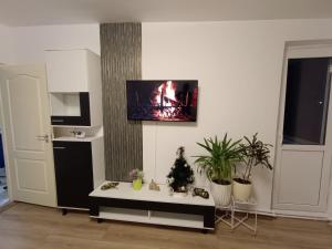 a living room with a christmas tree on a table at Olive Apartment in Lupeni +17 photos