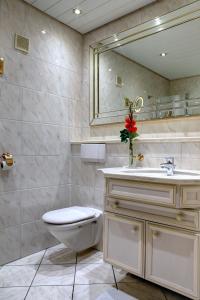 a bathroom with a toilet and a sink and a mirror at Hotel Mühlenthal GmbH in Schwalbach