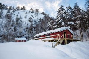 High standard cabin in a quiet area in the bossom of nature near Flå בחורף