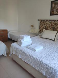 的住宿－Las Palmeras，一间卧室配有带毛巾的床