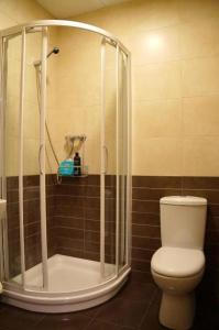 a bathroom with a shower and a toilet in it at Hostal de Montaña Pous de la neu in Alfara de Carles