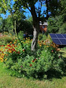 a field of flowers with a tree and a solar panel at Villa Nostalgia in Szklarska Poręba