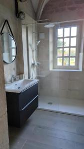 een badkamer met een douche, een wastafel en een spiegel bij Terrasse vue imprenable canal in Dole