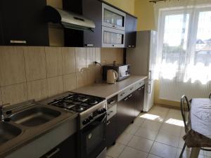 a kitchen with a stove and a sink and a microwave at Pokoje Goscinne Buzuki in Ciechanów