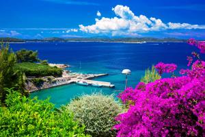 a view of a body of water with purple flowers at Blue Bay Residence in Hvar