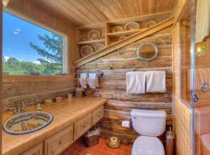 a log cabin bathroom with a toilet and a sink at Blue Lake Ranch in Hesperus