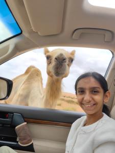 a woman in a car with a camel in the window at Desert Rose Camp in Bidiyah