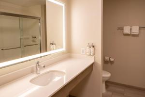 Holiday Inn Express & Suites Sioux City-South, an IHG Hotel في سيوكس سيتي: حمام مع حوض ومرآة ومرحاض