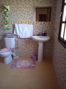 ein Bad mit einem Waschbecken und einem WC in der Unterkunft Marrakech Luxury Villa Farm in Marrakesch