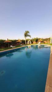 ein großer Pool mit blauem Wasser in der Unterkunft Marrakech Luxury Villa Farm in Marrakesch