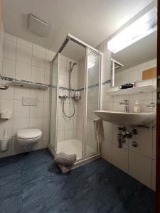 a bathroom with a shower and a sink and a toilet at Chalet Rosa B&B in Lauterbrunnen