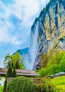 住宿加早餐旅馆周边自然景观
