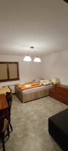 1 dormitorio con cama, escritorio y mesa en Apartamenty z ogrodem nr 1, en Mrągowo