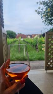 a person holding a glass of wine in front of a window at Lugas Apartman in Villány
