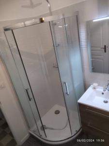 um chuveiro com uma porta de vidro ao lado de um lavatório em Issoudun appart élégant 150m² em Issoudun