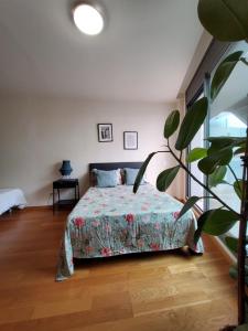 una camera con letto e pianta di NICE DUPLEX a Barcellona