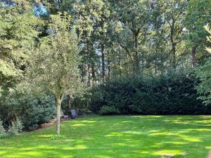 a tree in the middle of a field of grass at Vakantiehuis De koolmees, in een bosrijke natuur. in Kaatsheuvel