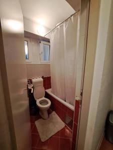 ein kleines Bad mit einem WC und einer Dusche in der Unterkunft Apartment Skenderija Pet friendly with garden in Sarajevo