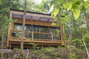 a tree house in the middle of the forest at Cabin Zoobox 69 in Eastman