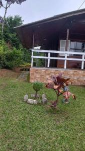 podwórko z domem i roślinami w trawie w obiekcie Chalé urbano w mieście Miguel Pereira