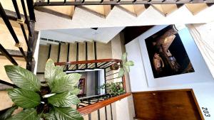 a staircase in a house with a potted plant at Hotel Plaza Baratillo in Guanajuato