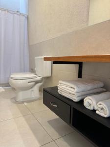 a bathroom with a toilet and a shelf with towels at Complejo Carrodilla - Lujan de Cuyo in Ciudad Lujan de Cuyo
