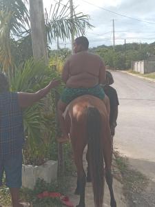a man points at a child riding on a horse at Zion Culture Farms and Resort. in Green Island