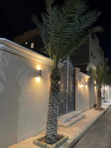 una palma di fronte a un cancello di notte di HOLIDAy فاملي الطائف a Taif