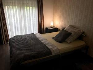 a bed with two pillows and a window in a bedroom at Apartment am See in Weiherhammer