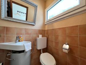 a bathroom with a toilet and a sink and a mirror at Ferienhaus Wellnesshütte mit Außenwhirlpool und herrlichem See-und Alpenblick in Überlingen +9 photos