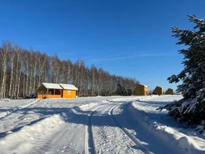 a snow covered road in front of a cabin at Domek na Roztoczu Sauna & Jacuzzi in Horyniec