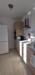 cocina con armarios de madera y nevera blanca en Casa Eguino- Pet Friendly, en San Sebastián