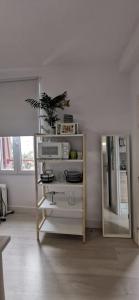 una habitación con un estante con una planta en Casa Eguino- Pet Friendly, en San Sebastián