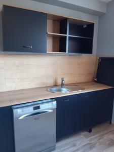 a kitchen with a sink and a counter top at El terret in Sigean