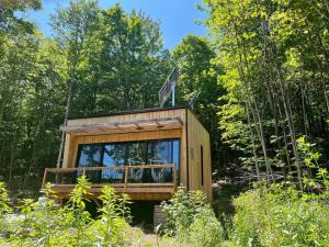 Une petite maison au milieu d'une forêt dans l'établissement Cabin Zoobox 79, à Eastman