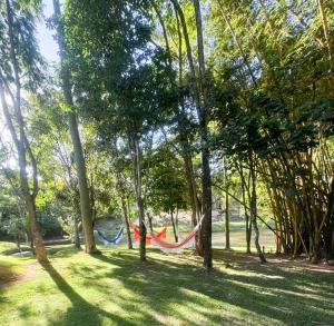 a hammock in the middle of a park with trees at Locação Terras de São Francisco, Quarto Flamboyant in Andradas