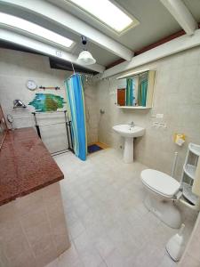 ein Bad mit einem Waschbecken, einem WC und einer Dusche in der Unterkunft 2 bedrooms property with shared pool at Porto Cesareo 1 km away from the beach in Porto Cesareo