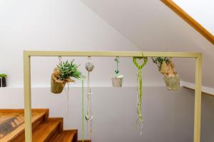 斯普利特Apartments Urban的墙上的盆栽植物群