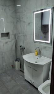 a bathroom with a sink and a toilet and a mirror at Vila Ohana in Skopje