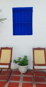 two chairs and a plant in a pot next to a window at La Marina Hostal in Ríohacha